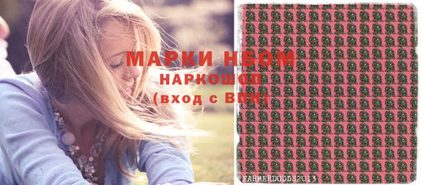 тгк Шали