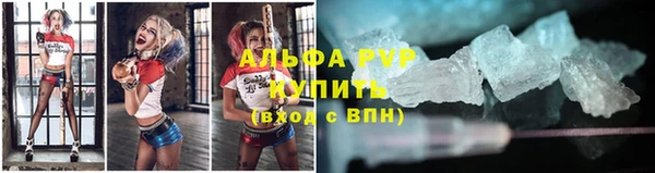 сатива Каменка