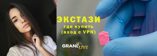 гидра Каменногорск